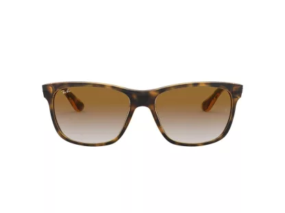 Ray-Ban Férfi Barna Napszemüveg RB 4181 710/51