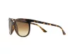 Ray-Ban Cats 1000 Női Barna Napszemüveg RB 4126 710/51
