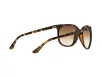 Ray-Ban Cats 1000 Női Barna Napszemüveg RB 4126 710/51