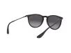 Ray-Ban Erika Női Fekete Napszemüveg RB 4171 622/8G