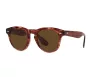 Oliver Peoples Férfi, Női Barna Napszemüveg OV 5473SU 172157