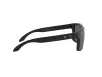 Oakley Holbrook Férfi Fekete Napszemüveg OO 9102 9102D6