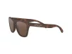 Oakley Frogskins Férfi Barna Napszemüveg OO 9013 9013C5