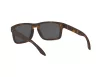 Oakley Holbrook Férfi Barna Napszemüveg OO 9102 9102F4