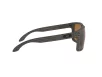 Oakley Holbrook XL Férfi Barna Napszemüveg OO 9417 941706