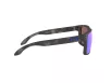 Oakley Holbrook Férfi Szürke Napszemüveg OO 9102 9102G7
