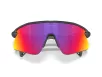 Oakley STUNT DEVIL Férfi, Női Fekete Napszemüveg OO 9517 951702