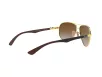 Ray-Ban Férfi Arany Napszemüveg RB 8313 001/51