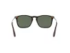 Ray-Ban CHRIS Férfi Barna Napszemüveg RB 4187 710/71