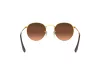 Ray-Ban Round Metal Férfi Barna Napszemüveg RB 3447 9001A5