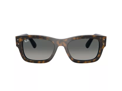   Ray-Ban JOSEPH Férfi, Női Szürke Napszemüveg RB 7683S 140171