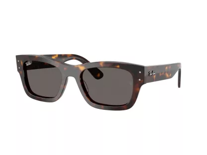   Ray-Ban JOSEPH Férfi, Női Barna Napszemüveg RB 7683S 902/B1