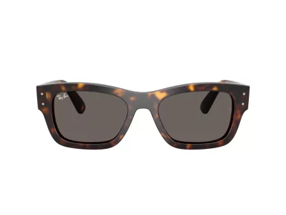   Ray-Ban JOSEPH Férfi, Női Barna Napszemüveg RB 7683S 902/B1