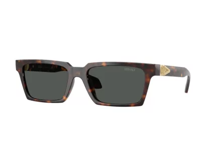 Versace Férfi Barna Napszemüveg VE 4490U 108/87