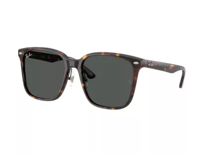 Ray-Ban Férfi, Női Barna Napszemüveg RB 2206D 710/87
