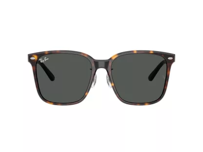 Ray-Ban Férfi, Női Barna Napszemüveg RB 2206D 710/87