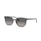 Ray-Ban ELLIOT Férfi, Női Szürke Napszemüveg RB 2197 1438M3