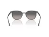 Ray-Ban ELLIOT Férfi, Női Szürke Napszemüveg RB 2197 1438M3