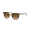 Ray-Ban ELLIOT Férfi, Női Zöld Napszemüveg RB 2197 1439M2