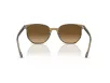 Ray-Ban ELLIOT Férfi, Női Zöld Napszemüveg RB 2197 1439M2