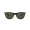 Ray-Ban Wayfarer II Férfi, Női Barna Napszemüveg RB 2185 902/31