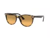 Ray-Ban Wayfarer II Férfi, Női Barna Napszemüveg RB 2185 1248AC
