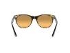 Ray-Ban Wayfarer II Férfi, Női Barna Napszemüveg RB 2185 1248AC
