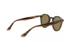 Ray-Ban Férfi, Női Barna Napszemüveg RB 2180 820/73