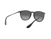Ray-Ban Erika Női Fekete Napszemüveg RB 4171 622/T3