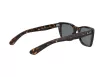 Ray-Ban Caribbean Férfi, Női Barna Napszemüveg RB 2248 902/R5