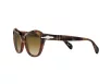 Persol Női Barna Napszemüveg PO 0582S 112151