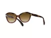 Persol Női Barna Napszemüveg PO 0582S 112151