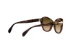 Persol Női Barna Napszemüveg PO 0582S 112151