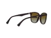 Emporio Armani Női Barna Napszemüveg EA 4157 5234T5