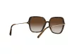 Dolce & Gabbana Női Barna Napszemüveg DG 6157 502/13