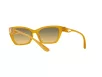 Dolce & Gabbana Női Sárga Napszemüveg DG 6155 328311