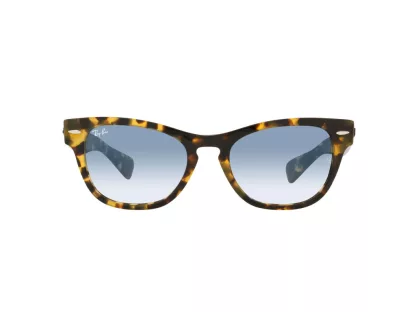   Ray-Ban Laramy Férfi, Női Barna Napszemüveg RB 2201 13323F