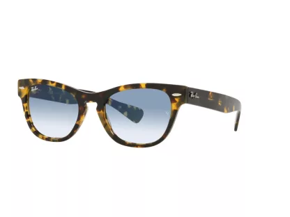   Ray-Ban Laramy Férfi, Női Barna Napszemüveg RB 2201 13323F