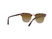 Ray-Ban Clubmaster Classic Férfi, Női Rózsaszín Napszemüveg RB 3016 133751