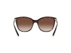 Emporio Armani Női Barna Napszemüveg EA 4173 500213