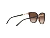 Emporio Armani Női Barna Napszemüveg EA 4173 500213