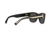 Dolce & Gabbana Férfi Fekete Napszemüveg DG 4390 501/87