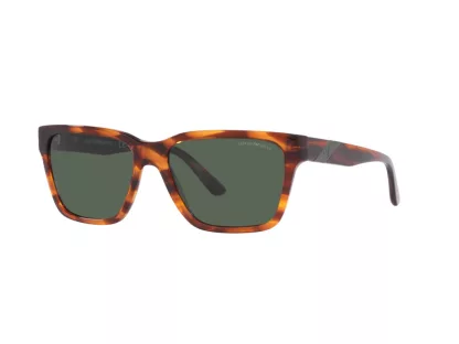 Emporio Armani Férfi Barna Napszemüveg EA 4177 502371