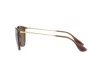 Ray-Ban ERIKA Női Barna Napszemüveg RB 4171 6593T5