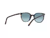 Ray-Ban Elliot Férfi, Női Barna Napszemüveg RB 2197 13563M 52