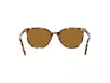 Ray-Ban ELLIOT Férfi, Női Barna Napszemüveg RB 2197 135757
