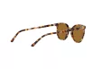 Ray-Ban ELLIOT Férfi, Női Barna Napszemüveg RB 2197 135757