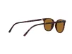 Ray-Ban ELLIOT Férfi, Női Barna Napszemüveg RB 2197 902/33