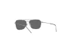 Ray-Ban Caravan Reverse Férfi, Női Szürke Napszemüveg RB R0102S 004/GR