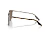 Ray-Ban Férfi, Női Barna Napszemüveg RB 2204 139357 51